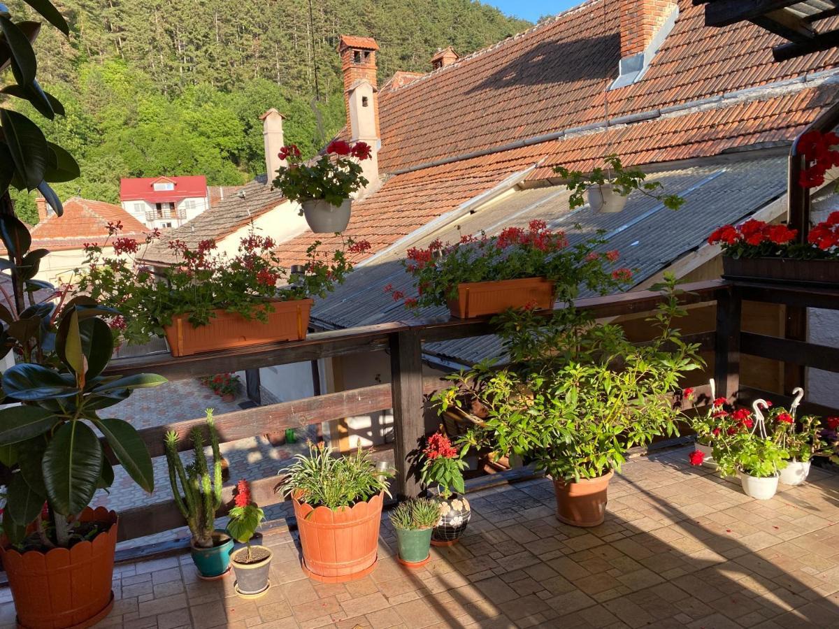 Victoria Gasthaus Rasnov - Charming Vacation House In Rasnov Екстериор снимка